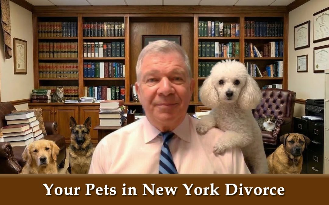 Your Pets in NY Divorce